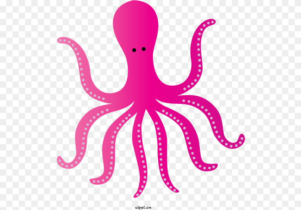 Animals Octopus Giant Pacific Octopus, Animal, Sea Life, Reptile, Snake Png Image
