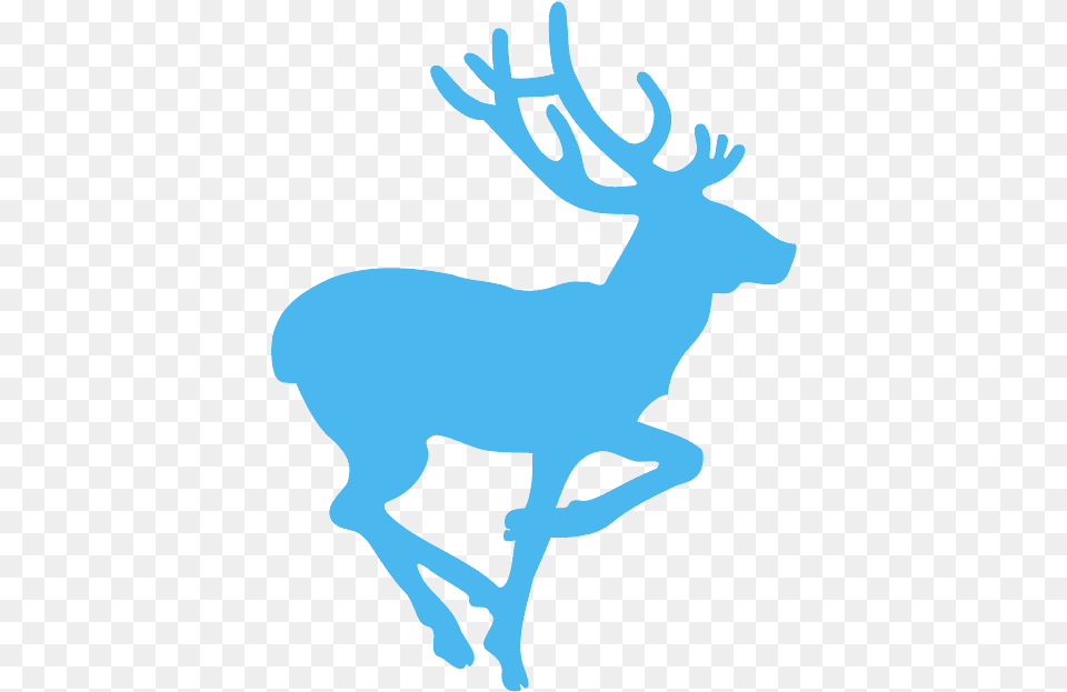 Animals On The Road Sign, Animal, Deer, Mammal, Wildlife Png Image