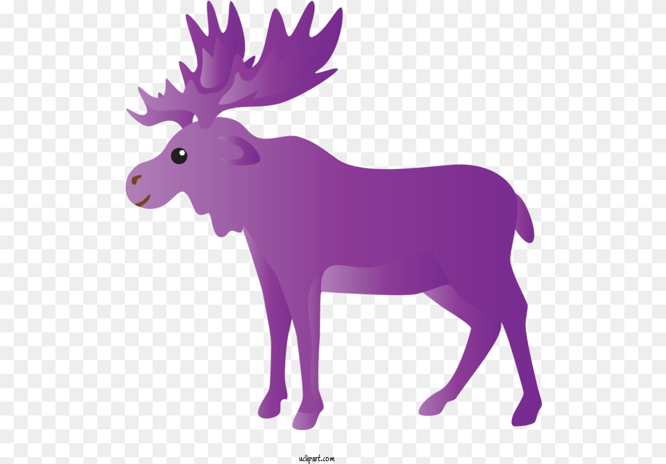 Animals Purple Moose Reindeer For Reindeer, Animal, Mammal, Wildlife, Kangaroo Free Transparent Png