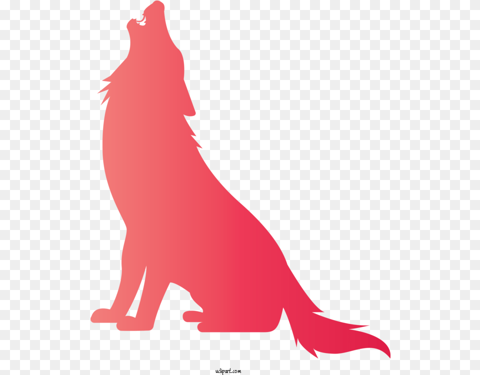 Animals Red California Sea Lion Tail For Wolf Wolf Clipart Lion, Animal, Mammal, Wildlife, Adult Png Image