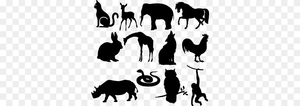 Animals Silhouette Wolf Elephant World Veterinary Day 2018, Gray Png Image