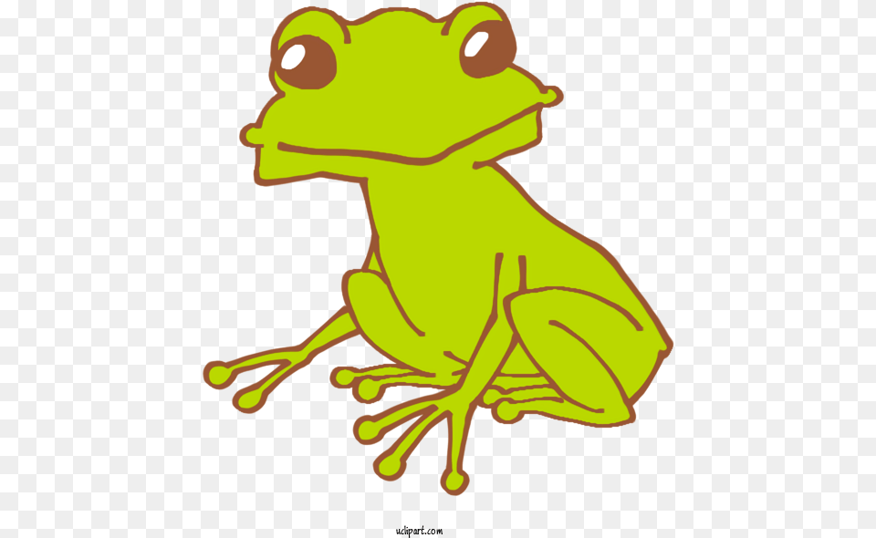 Animals Toad Frogs For Frog Frog Clipart Animals Clip Art Pond Frogs, Amphibian, Animal, Wildlife Free Png Download