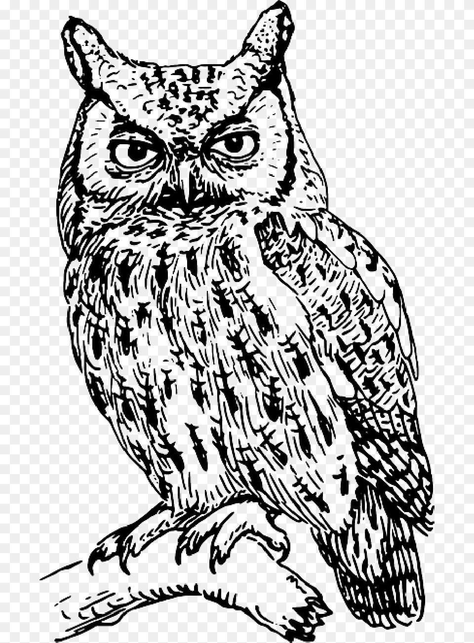 Animals Tribal Sketch Silhouette Cartoon Birds Clip Art Black And White Owl, Person, Animal, Bird, Drawing Png