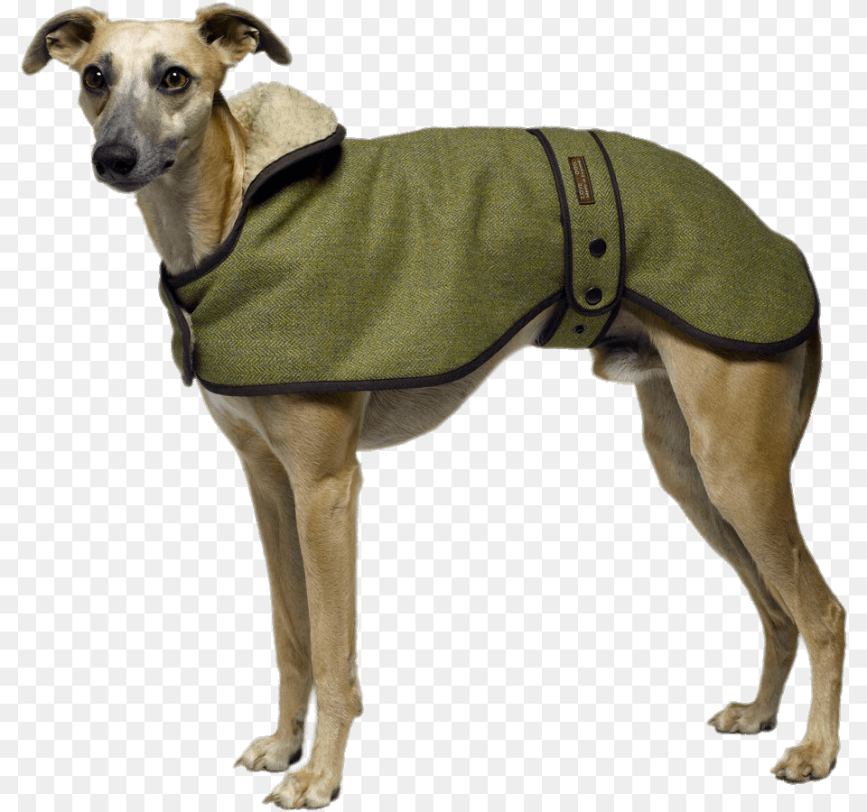 Animals Tweed Whippet Coats, Vest, Clothing, Coat, Lifejacket Png