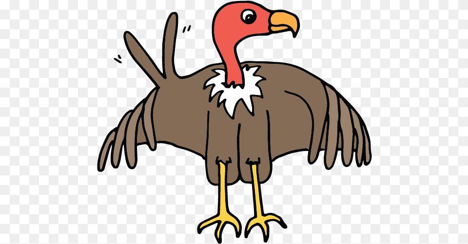 Animals V Turkey, Animal, Beak, Bird, Vulture Png