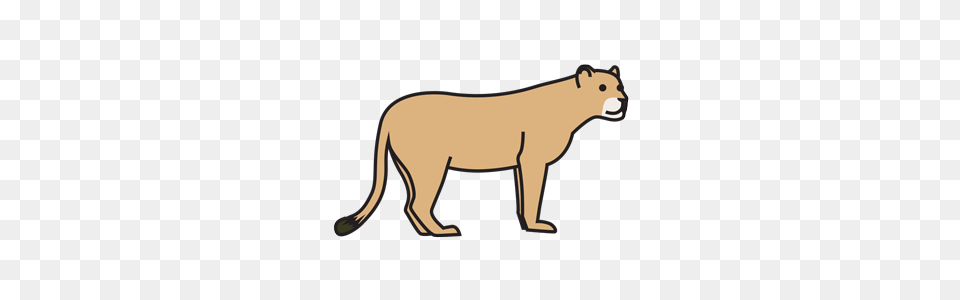 Animals Wildlife Esl Library, Animal, Lion, Mammal, Kangaroo Free Transparent Png