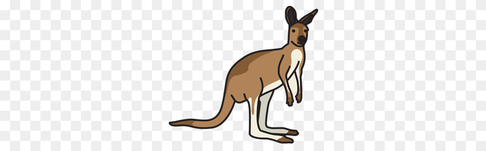 Animals Wildlife Esl Library, Animal, Mammal, Kangaroo Free Transparent Png