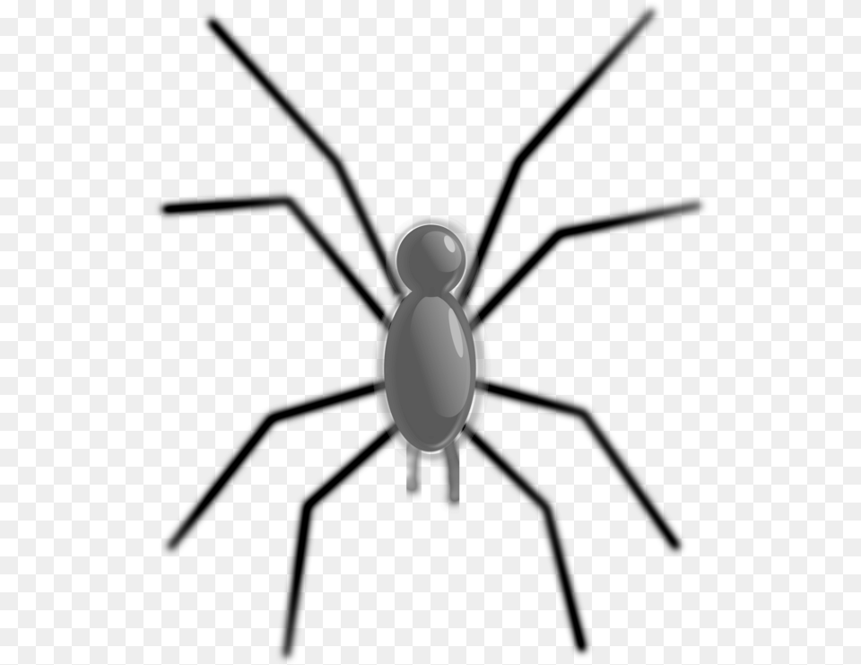 Animals With 8 Legs Clipart, Gray Png