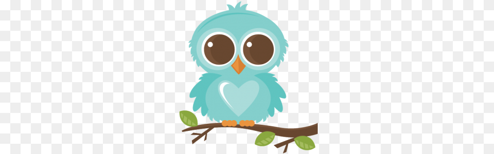 Animalspets, Baby, Person, Animal, Bird Free Png Download