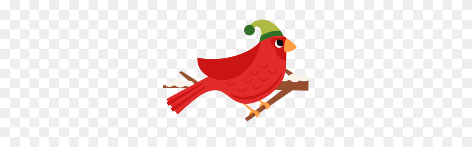 Animalspets, Animal, Bird, Beak, Cardinal Free Png Download