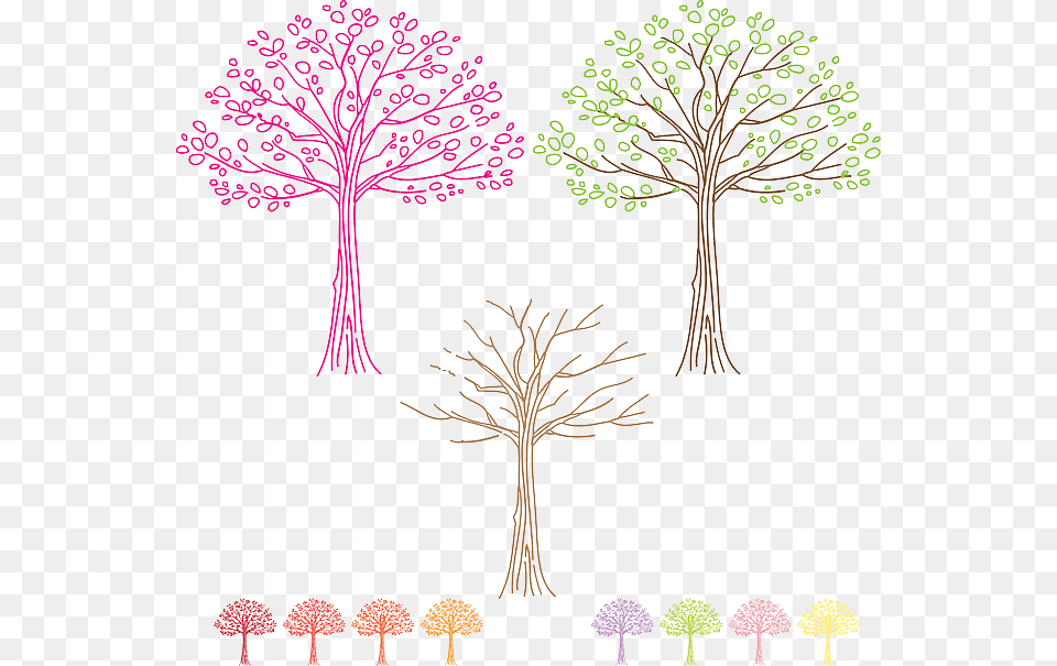 Animasi Pohon Maple, Art, Plant, Drawing, Flower Free Png Download