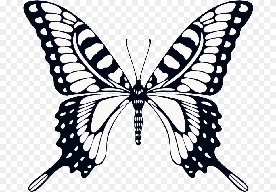 Animated Butterfly Transparent Image Arts Transparent Butterfly Flying Animation, Art, Animal, Stencil, Insect Free Png