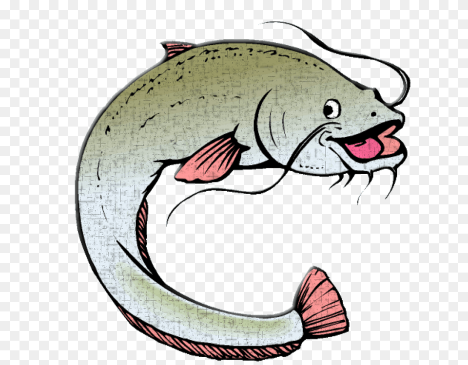 Animated Catfish Image Animated Catfish, Animal, Sea Life, Fish, Angler Free Transparent Png