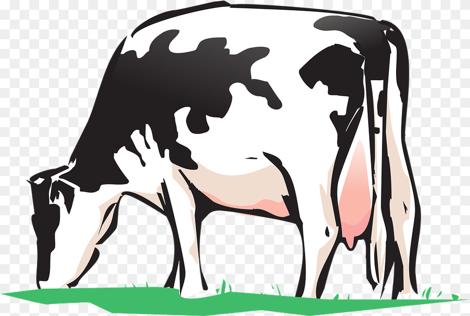 Animated Cows Pictures 25 Buy Clip Art Cow Drink Water Cow Grazing Clipart, Animal, Cattle, Dairy Cow, Livestock Free Png Download
