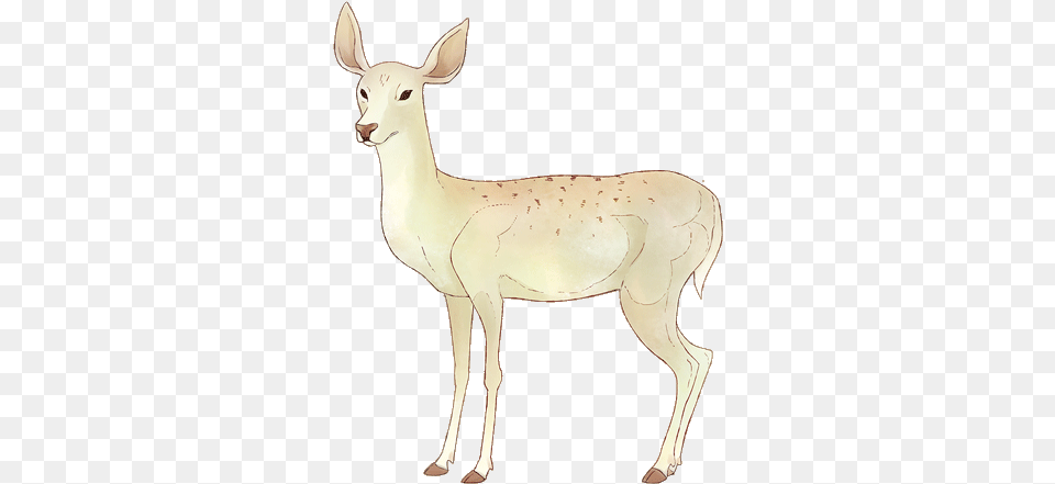 Animated Doe Character Pepperish Studio Transparent Animations, Animal, Deer, Mammal, Wildlife Free Png Download