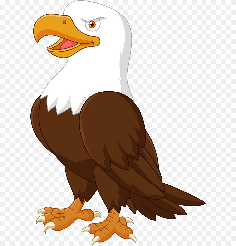 Animated Eagle Clipart Transparent Animated Eagle, Animal, Beak, Bird, Bald Eagle Free Png