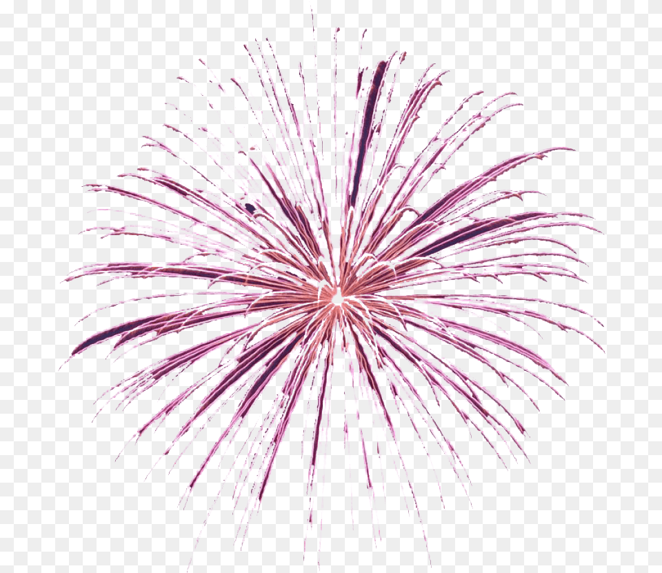 Animated Fireworks Background Image Arts Transparent Background Fireworks Gif, Plant, Flower Free Png Download