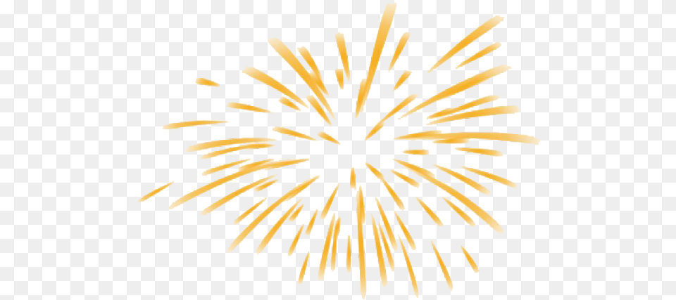 Animated Fireworks High Animated Fireworks Clipart, Plant Free Png