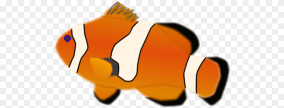 Animated Fish Clip Art, Amphiprion, Animal, Sea Life Free Png