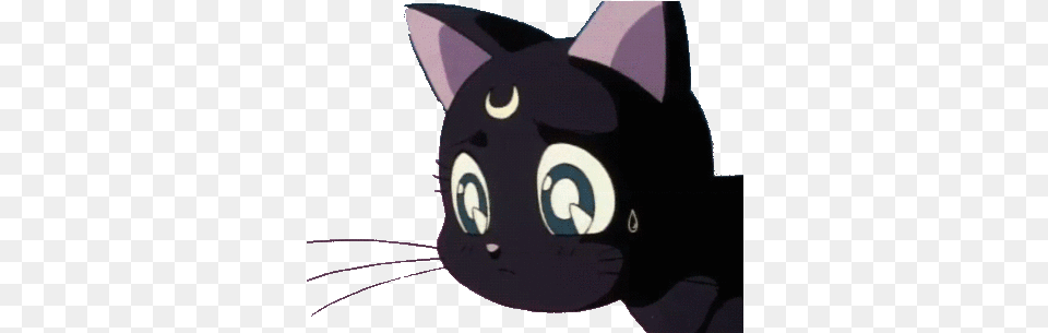 Animated Gif About In Anime And Manga By Bint Al Thawra Sailor Moon Gif, Animal, Cat, Mammal, Pet Png Image