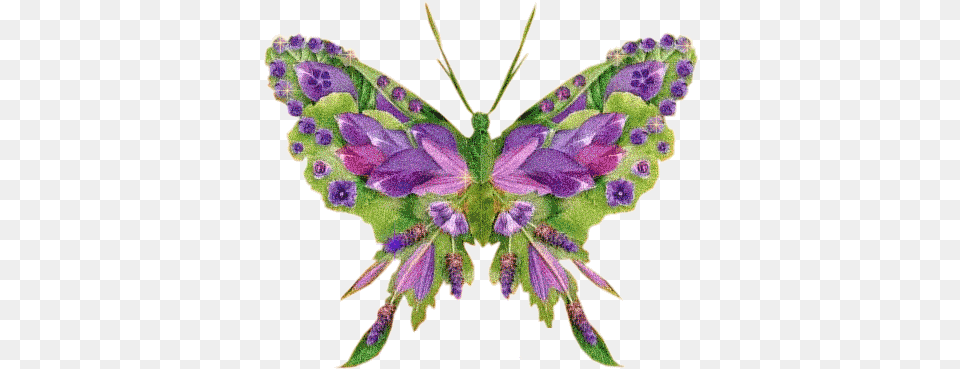 Animated Gif Butterflies Images Glitter Gif Flying Glittery Butterfly, Plant, Accessories, Purple, Flower Free Transparent Png