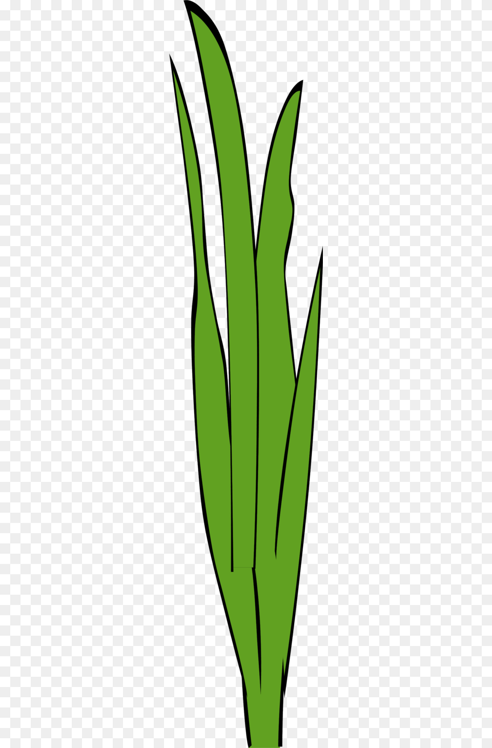 Animated Grass Cliparts, Leaf, Plant, Green, Herbal Free Png Download
