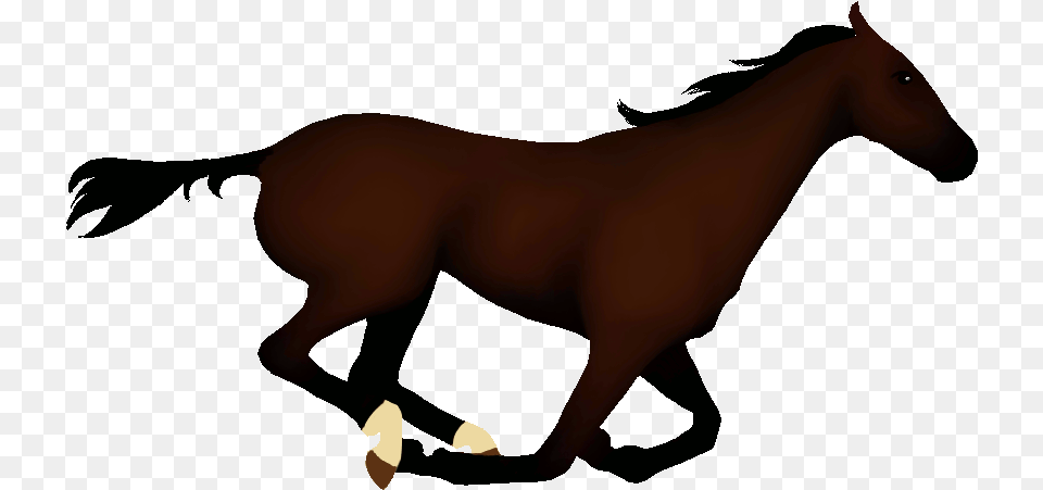 Animated Horse Pictures Animated Gif Horse Running Full Running Horse Gif, Animal, Mammal, Colt Horse, Person Free Png Download