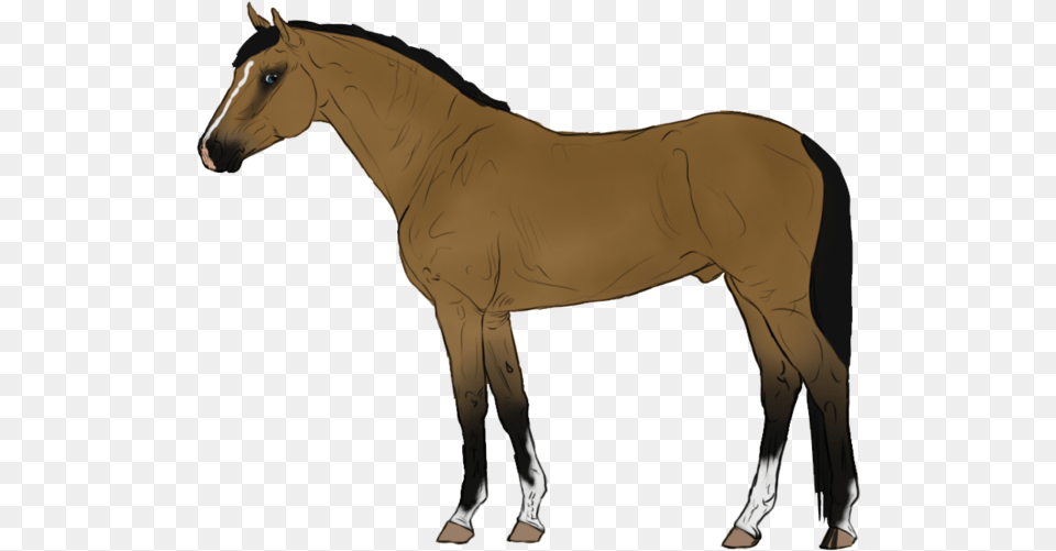 Animated Horse Transparent Background Cartoon Horse Transparent Background, Animal, Colt Horse, Mammal Png Image