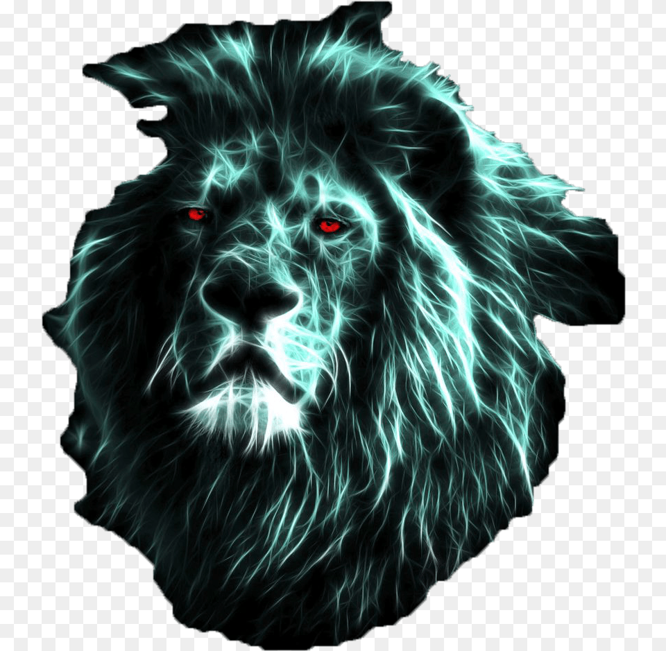 Animated Lion Wallpaper Hd, Animal, Mammal, Wildlife, Canine Free Png Download