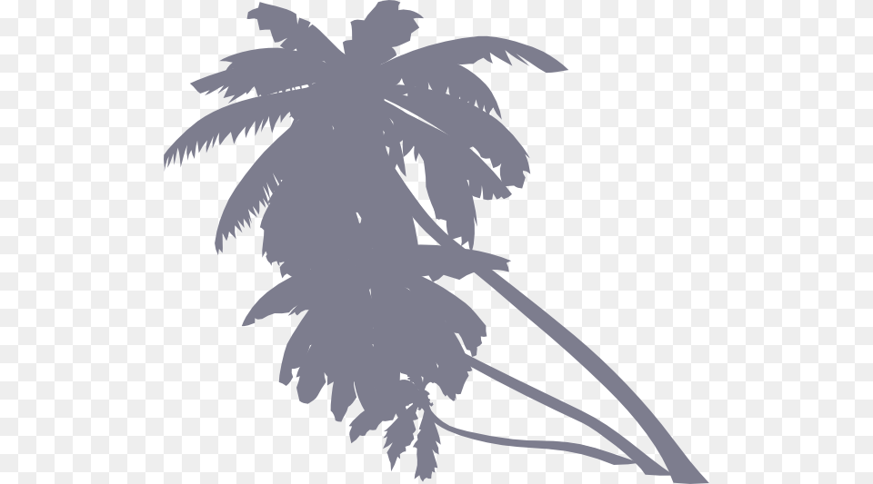 Animated Palm Tree, Silhouette, Palm Tree, Plant, Leaf Free Transparent Png