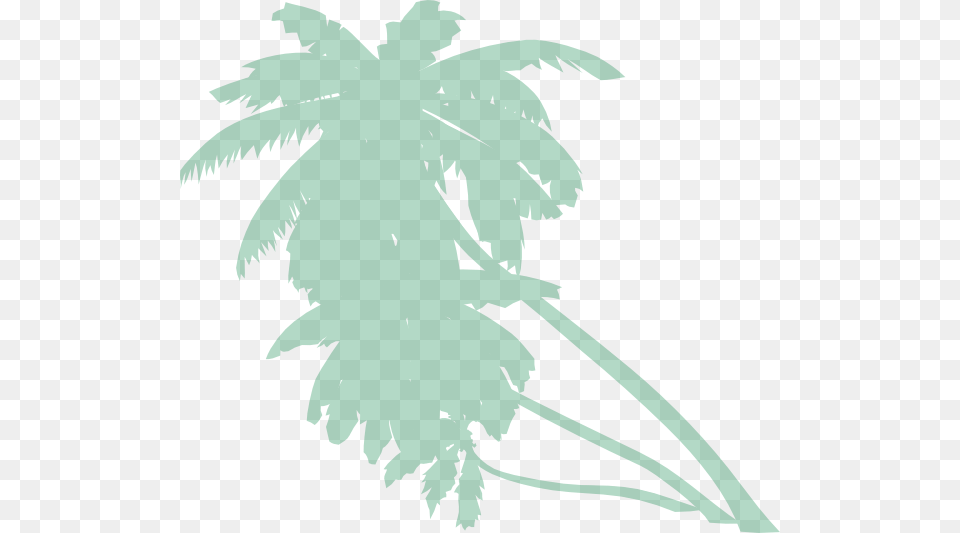 Animated Palm Tree Download Animated Palm Tree, Plant, Palm Tree, Leaf, Fish Png Image