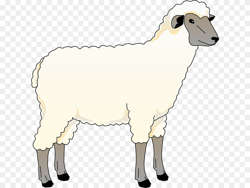 Animated Picture Of Sheep, Livestock, Animal, Mammal, Person Png