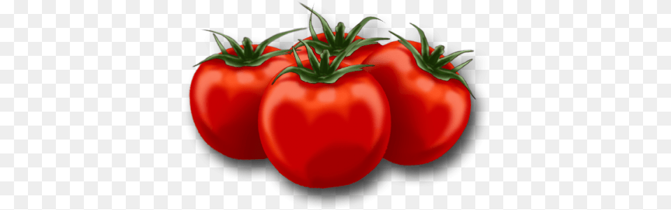 Animated Picture Of Tomatoes, Food, Plant, Produce, Tomato Png
