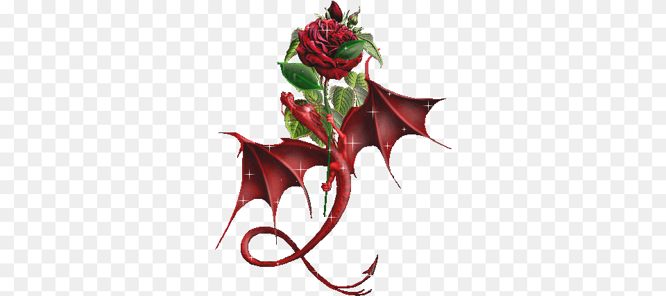 Animated Rose Wallpaper Hd Tumblr For Walls Mobile Dragon And Rose Tattoo, Flower, Leaf, Plant, Pattern Free Png Download