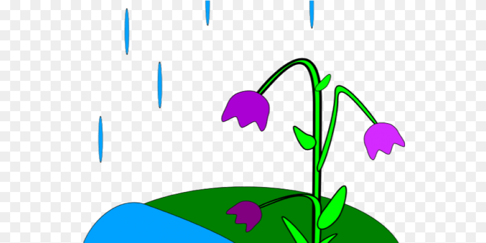 Animated Spring Clipart Raining Animation Download Rain Is Formed For Kids, Flower, Plant Free Transparent Png
