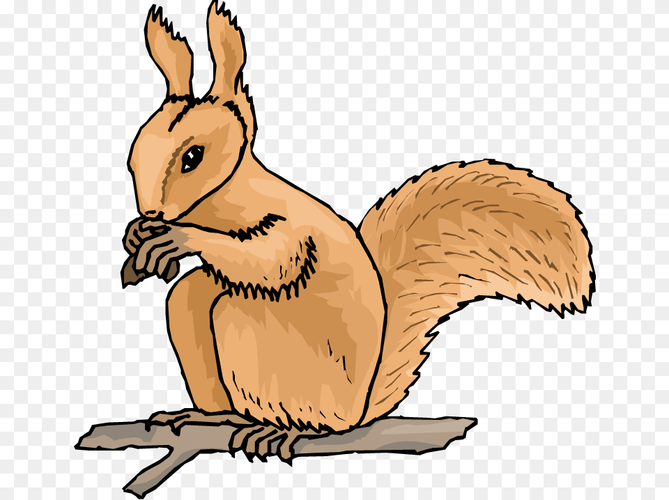 Animated Squirrel Clipart, Animal, Mammal, Baby, Person Free Png Download