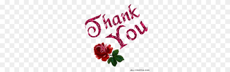 Animated Thank You For Powerpoint Transparent Animated Thank, Flower, Plant, Rose, Art Free Png