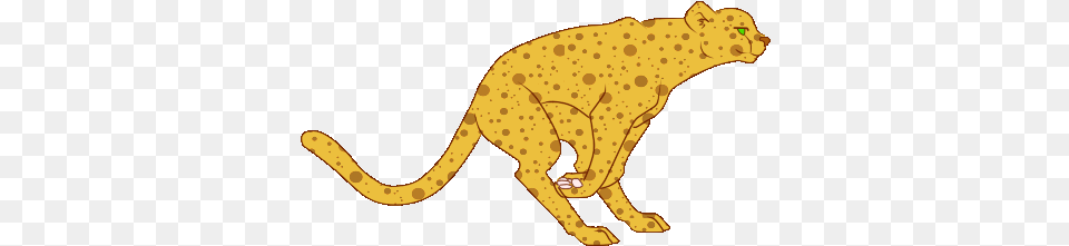 Animated Warrior Cat Creator Running Cheetah Animated Gif, Animal, Mammal, Wildlife Free Transparent Png