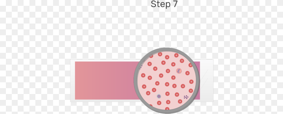 Animation Of Blood Cell Being Examined Under Microscope, Face, Head, Person Png