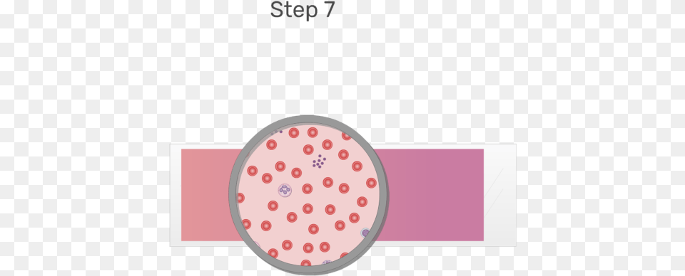 Animation Of Blood Cell Being Examined Under Microscope, Sphere Png Image