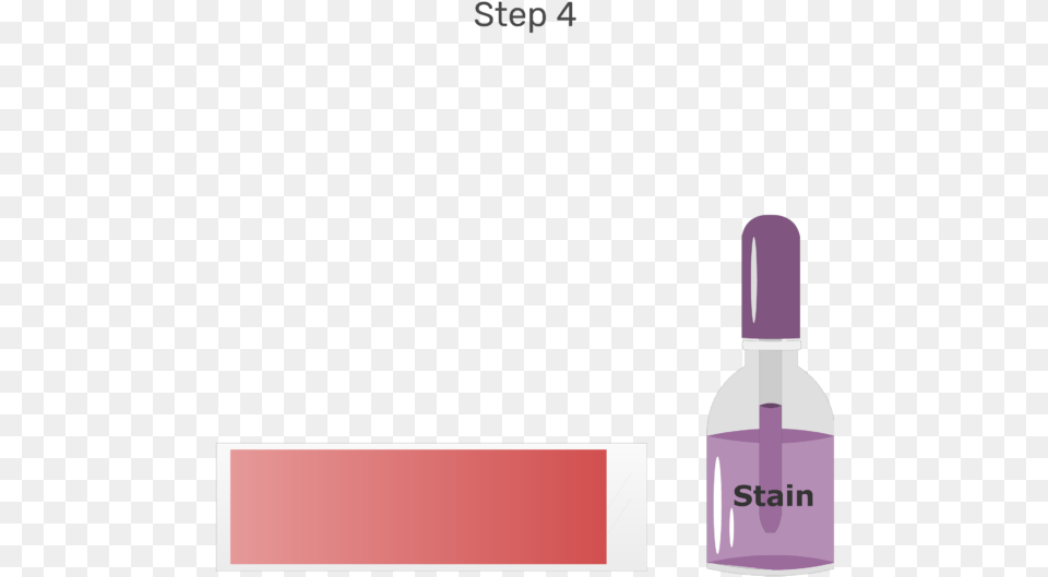 Animation Of The Surface Of The Blood Smear Being Flooded, Bottle, Cosmetics, Lipstick, Perfume Png