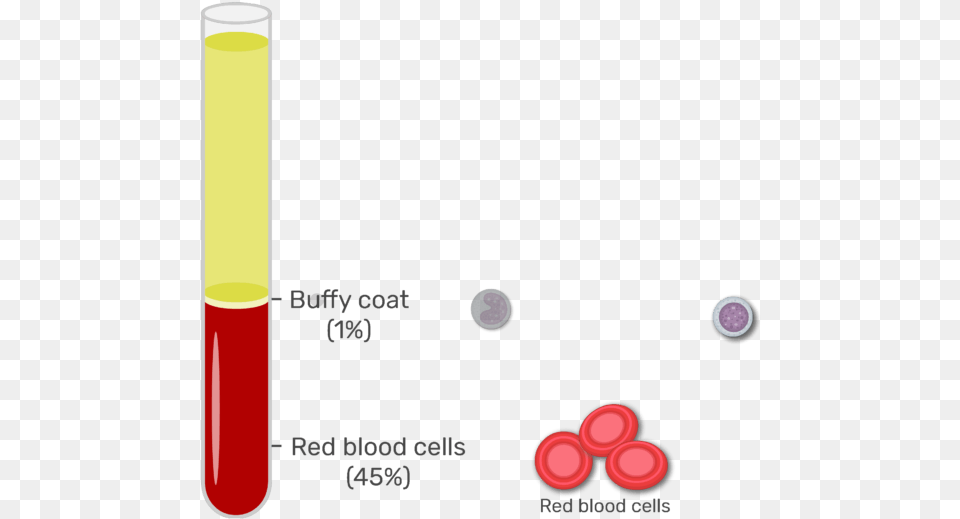 Animation Showing The Elements Of The Buffy Coat Buffy Coat Png