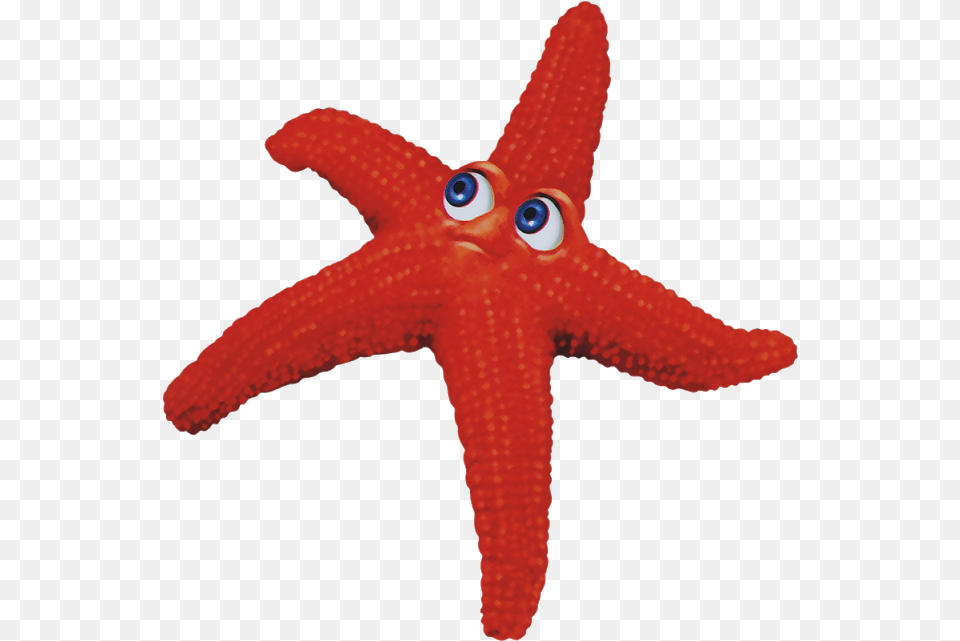 Animation Starfish Starfish, Animal, Sea Life, Invertebrate, Bird Png