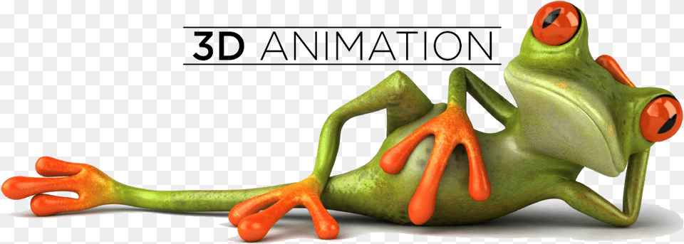 Animation Transparent Take It Easy Funny, Amphibian, Animal, Frog, Wildlife Png Image