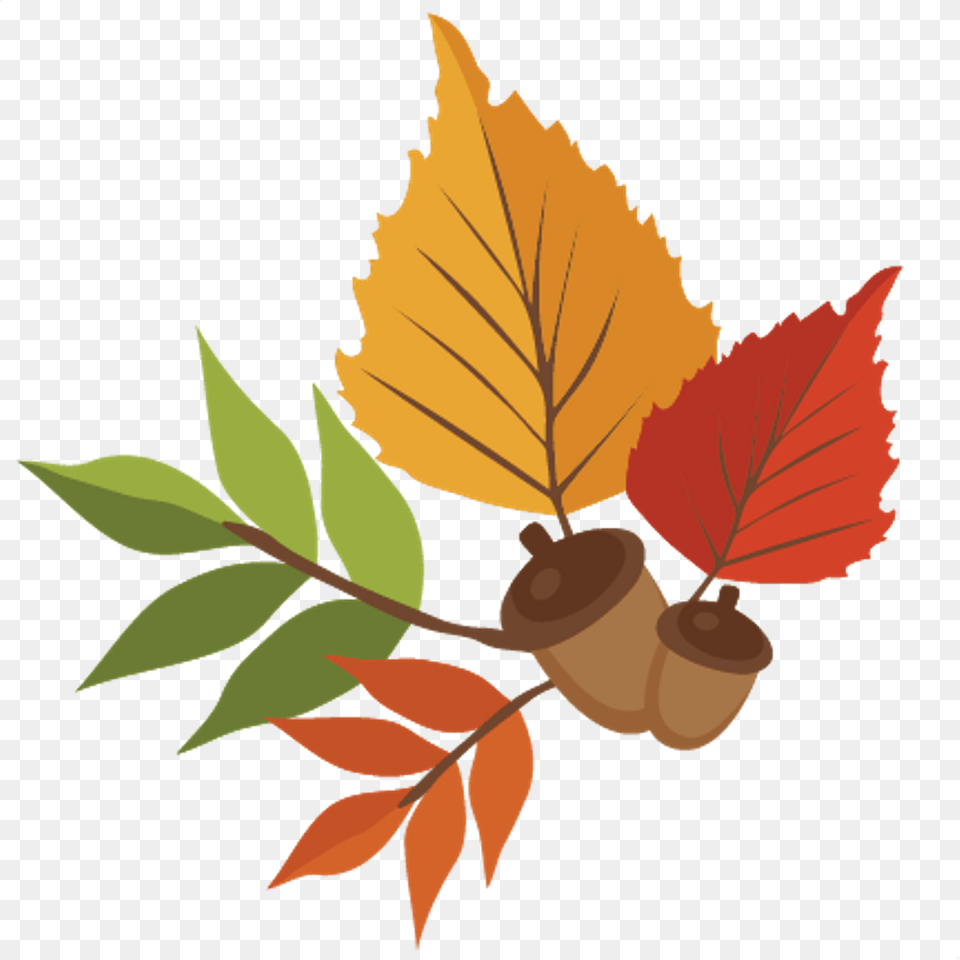 Animation Trees Background Clipart Images Clip Art Fall Leaves, Vegetable, Produce, Plant, Nut Png