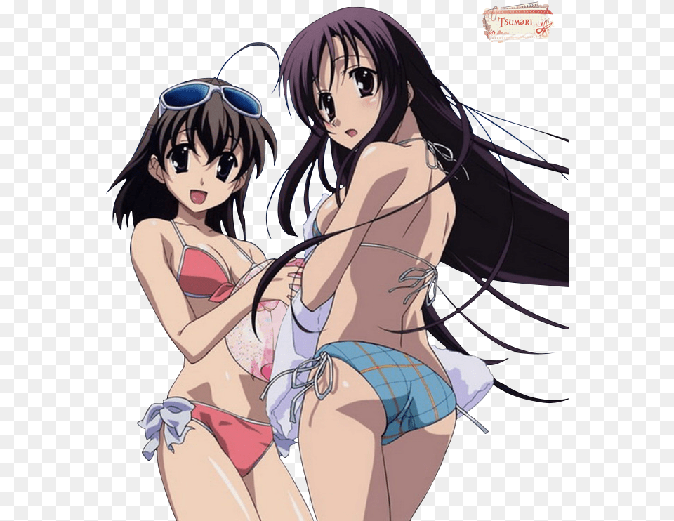 Anime Bikini School Days, Book, Comics, Publication, Adult Png Image