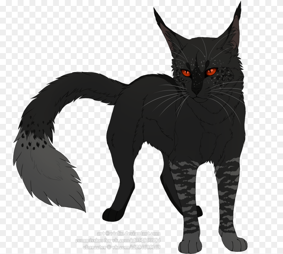 Anime Cat Black Transparent, Animal, Mammal, Pet, Black Cat Png