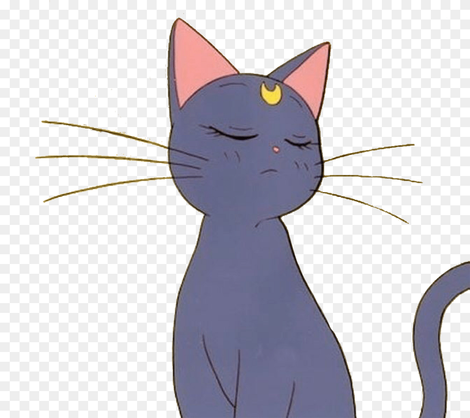 Anime Cat Sailormoon Aesthetic Tumblr Sticker Freetoedi Anime Cat Aesthetic, Animal, Mammal, Pet, Egyptian Cat Free Png Download