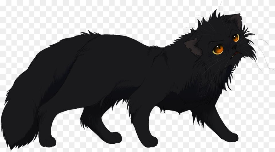 Anime Cats Anime Pictures Right Anime Cats Black And White Anime Cat, Animal, Mammal, Pet, Black Cat Free Png