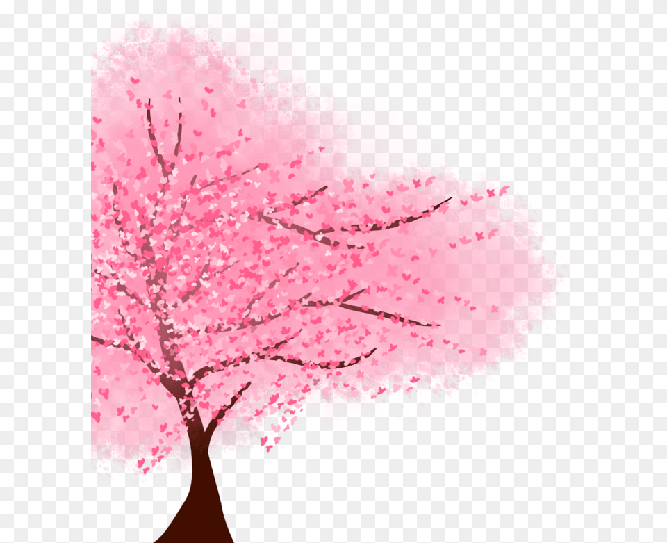 Anime Cherry Blossom, Flower, Plant, Cherry Blossom, Tree Png Image